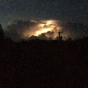 Meet your Posher, Penny